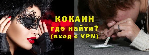 прущие грибы Козельск