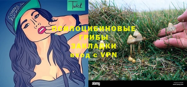ПСИЛОЦИБИНОВЫЕ ГРИБЫ Щёлкино