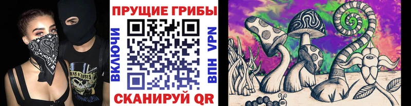 наркотики  Новотроицк  Галлюциногенные грибы прущие грибы 