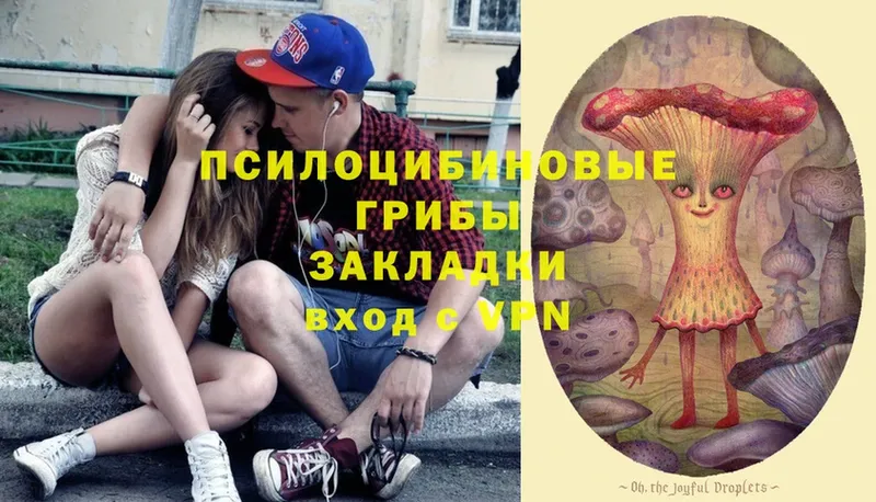 Галлюциногенные грибы Psilocybe  закладки  Новотроицк 