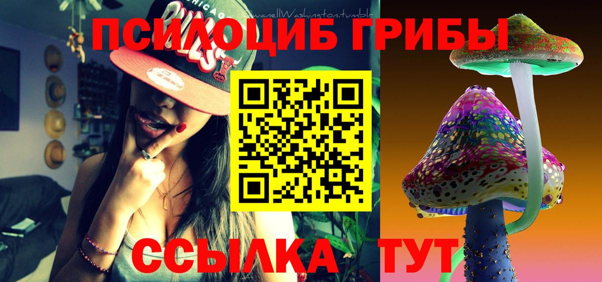 Галлюциногенные грибы Cubensis  Новотроицк 