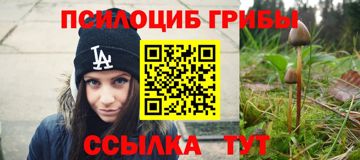 Псилоцибиновые грибы MAGIC MUSHROOMS  Галлюциногенные грибы мицелий  наркошоп  Новотроицк  Вход с VPN 