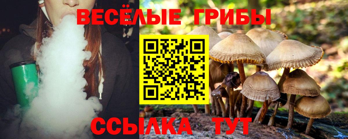 Галлюциногенные грибы Psilocybe Новотроицк